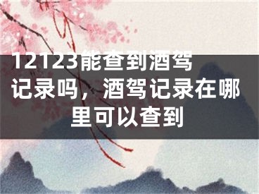 12123能查到酒駕記錄嗎，酒駕記錄在哪里可以查到