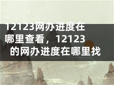 12123網(wǎng)辦進(jìn)度在哪里查看，12123的網(wǎng)辦進(jìn)度在哪里找