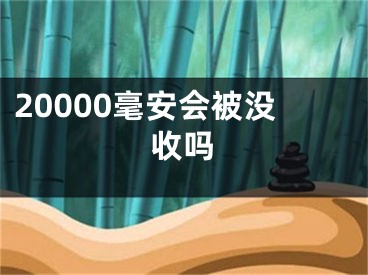 20000毫安會(huì)被沒(méi)收嗎