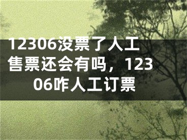 12306沒票了人工售票還會有嗎，12306咋人工訂票