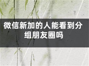 微信新加的人能看到分組朋友圈嗎