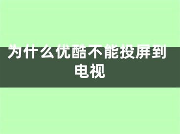 為什么優(yōu)酷不能投屏到電視