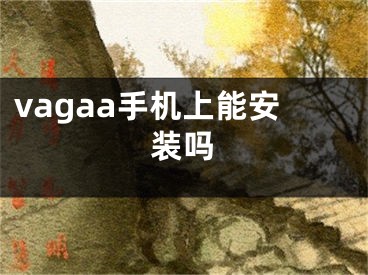 vagaa手機上能安裝嗎