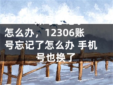 12306賬號(hào)忘記了怎么辦，12306賬號(hào)忘記了怎么辦 手機(jī)號(hào)也換了