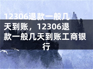 12306退款一般幾天到賬，12306退款一般幾天到賬工商銀行