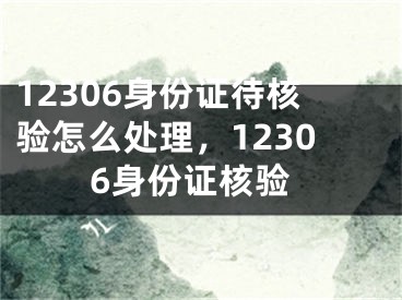 12306身份證待核驗(yàn)怎么處理，12306身份證核驗(yàn)