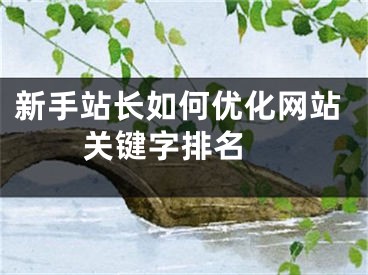 新手站長(zhǎng)如何優(yōu)化網(wǎng)站關(guān)鍵字排名 