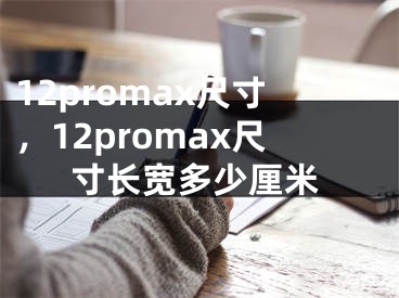 12promax尺寸，12promax尺寸長寬多少厘米