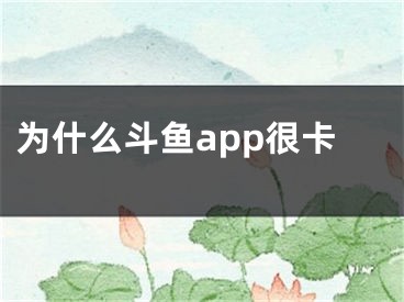 為什么斗魚(yú)app很卡