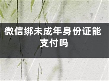 微信綁未成年身份證能支付嗎