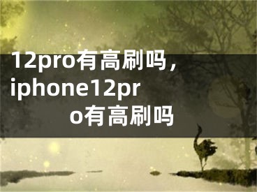 12pro有高刷嗎，iphone12pro有高刷嗎