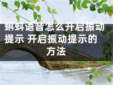 蝌蚪語音怎么開啟振動提示 開啟振動提示的方法