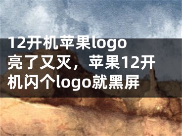 12開機蘋果logo亮了又滅，蘋果12開機閃個logo就黑屏