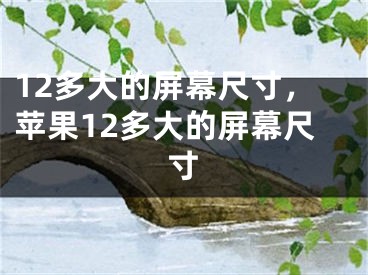 12多大的屏幕尺寸，蘋果12多大的屏幕尺寸