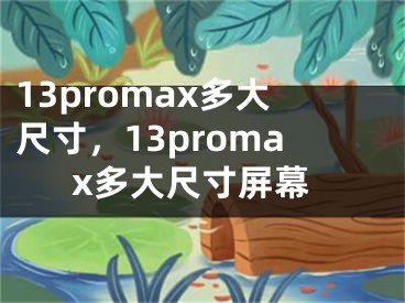 13promax多大尺寸，13promax多大尺寸屏幕