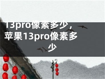 13pro像素多少，蘋果13pro像素多少