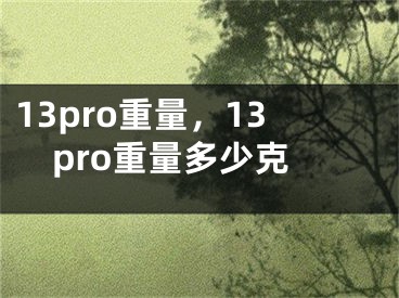 13pro重量，13pro重量多少克