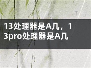 13處理器是A幾，13pro處理器是A幾