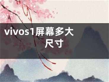 vivos1屏幕多大尺寸