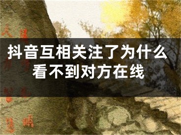 抖音互相關(guān)注了為什么看不到對(duì)方在線