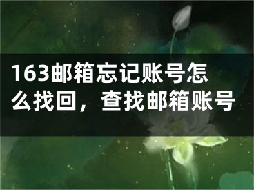 163郵箱忘記賬號怎么找回，查找郵箱賬號