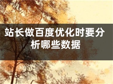 站長(zhǎng)做百度優(yōu)化時(shí)要分析哪些數(shù)據(jù)