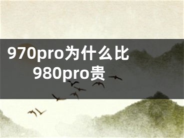 970pro為什么比980pro貴