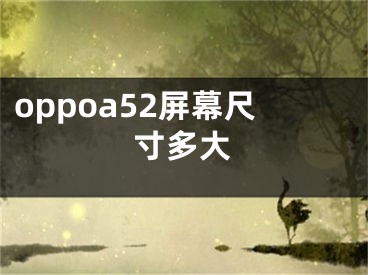 oppoa52屏幕尺寸多大