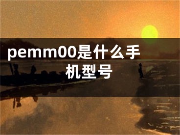 pemm00是什么手機(jī)型號(hào)