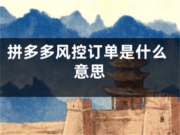 拼多多風(fēng)控訂單是什么意思