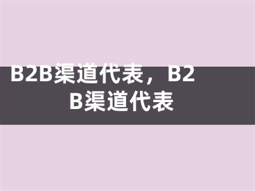 B2B渠道代表，B2B渠道代表