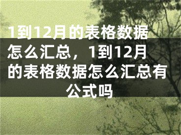 1到12月的表格數(shù)據(jù)怎么匯總，1到12月的表格數(shù)據(jù)怎么匯總有公式嗎