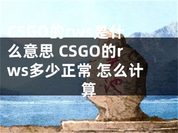 CSGO的rws是什么意思 CSGO的rws多少正常 怎么計算