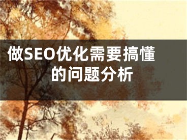 做SEO優(yōu)化需要搞懂的問(wèn)題分析