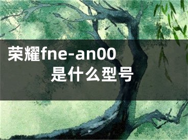 榮耀fne-an00是什么型號(hào)