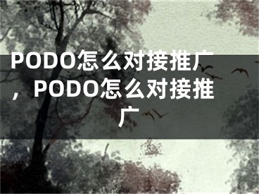 PODO怎么對接推廣，PODO怎么對接推廣