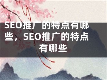 SEO推廣的特點(diǎn)有哪些，SEO推廣的特點(diǎn)有哪些