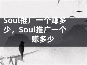 Soul推廣一個賺多少，Soul推廣一個賺多少