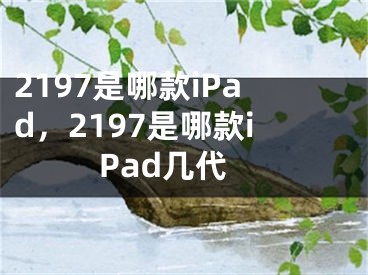 2197是哪款iPad，2197是哪款iPad幾代