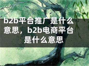 b2b平臺(tái)推廣是什么意思，b2b電商平臺(tái)是什么意思