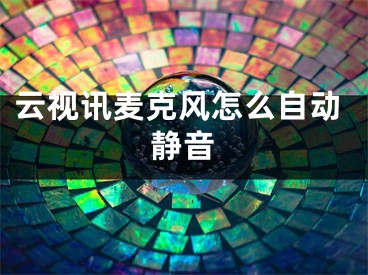 云視訊麥克風(fēng)怎么自動靜音