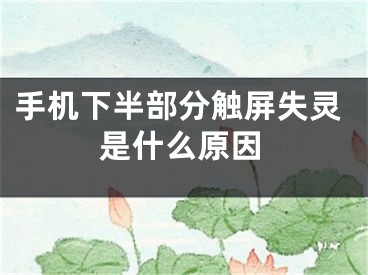 手機下半部分觸屏失靈是什么原因