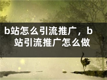 b站怎么引流推廣，b站引流推廣怎么做