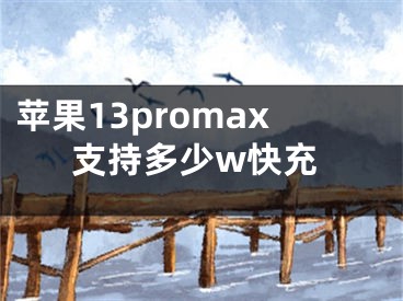 蘋果13promax支持多少w快充