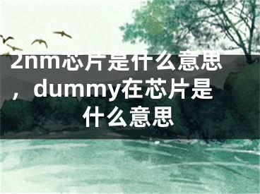 2nm芯片是什么意思，dummy在芯片是什么意思