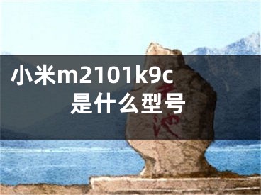 小米m2101k9c是什么型號(hào)