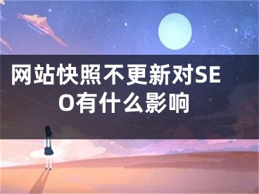 網(wǎng)站快照不更新對(duì)SEO有什么影響