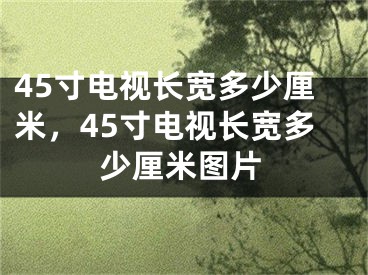 45寸電視長寬多少厘米，45寸電視長寬多少厘米圖片