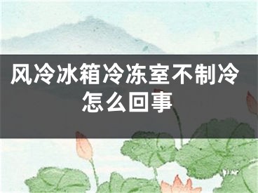 風(fēng)冷冰箱冷凍室不制冷怎么回事