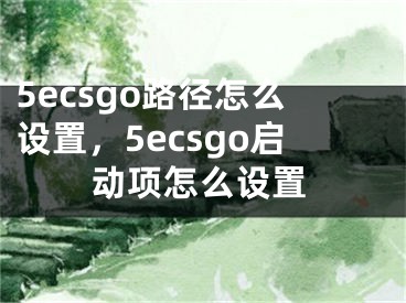 5ecsgo路徑怎么設(shè)置，5ecsgo啟動(dòng)項(xiàng)怎么設(shè)置